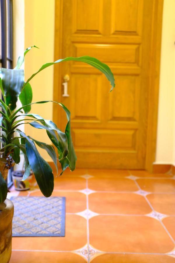 Pozzito Boutique Bed & Breakfast San Miguel de Allende Exterior photo