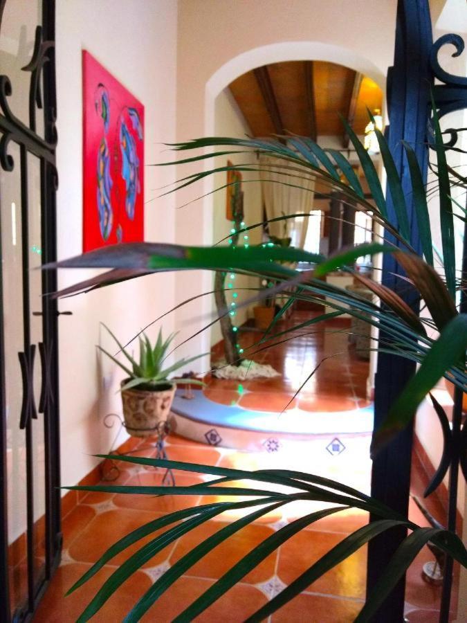Pozzito Boutique Bed & Breakfast San Miguel de Allende Exterior photo